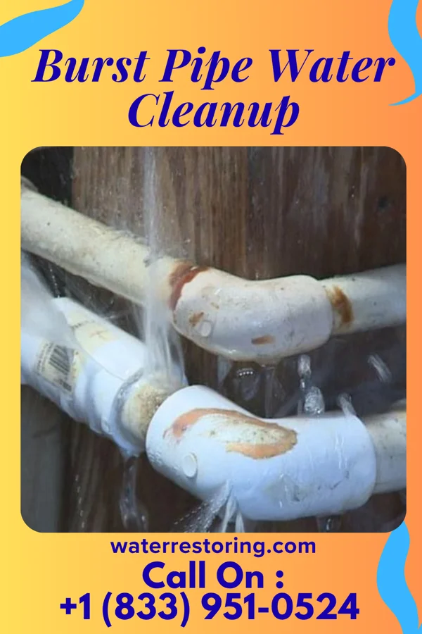 Burst Pipe Water Cleanup in Fairmount, TN