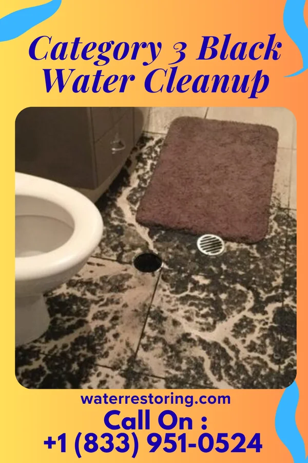 Category 3 Black Water Cleanup in Fairmount, TN