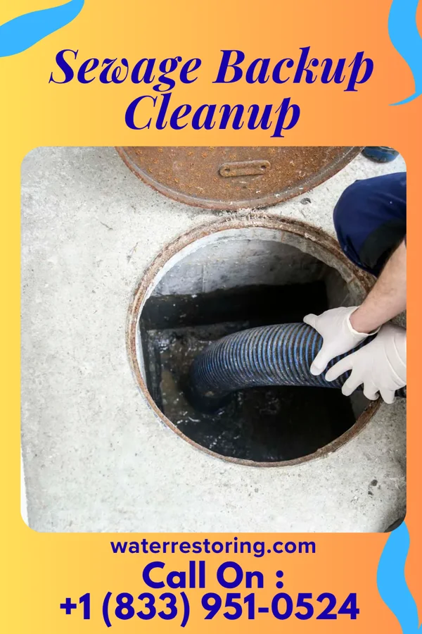 Sewage Backup Cleanup in Fairmount, TN