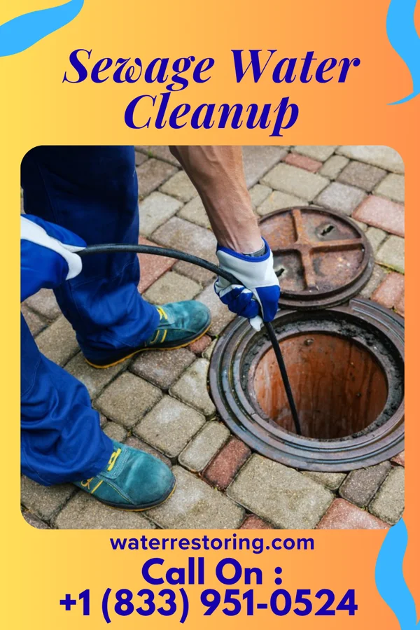 Sewage Water Cleanup in Fairmount, TN