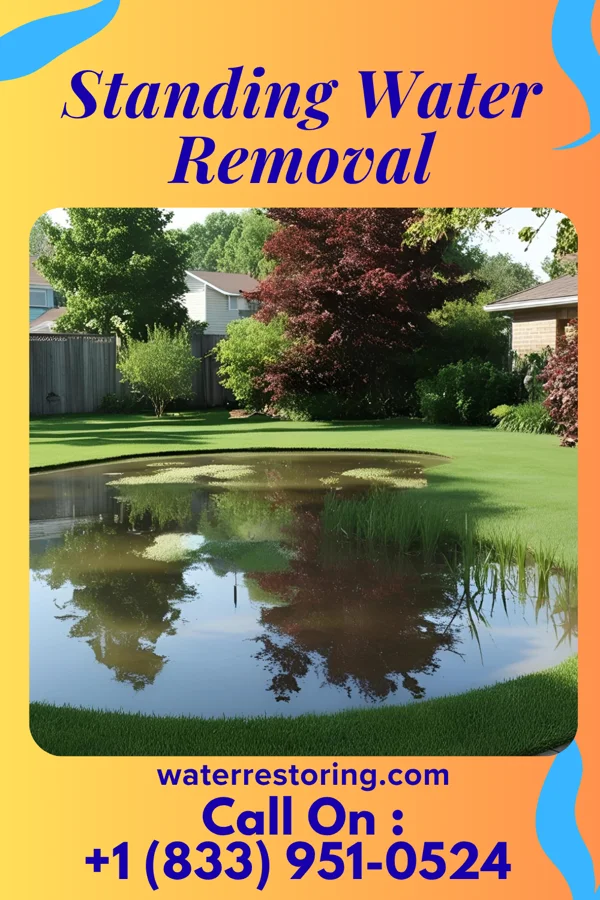 Standing Water Removal in Fairmount, TN